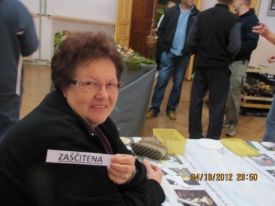 razstava-gorje-12-356_resize