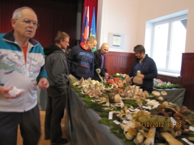razstava-gorje-12-275_resize