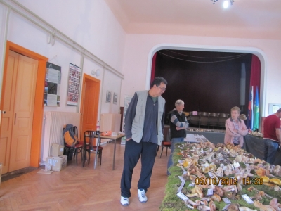 razstava-gorje-12-161_resize