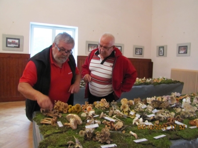 razstava-gorje-12-314_resize