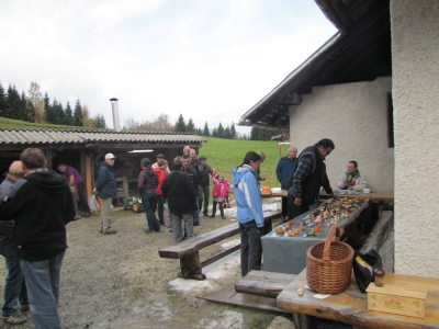 piknik58
